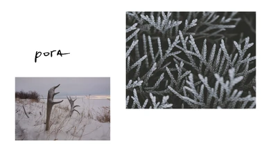 slide_16_9_-_12